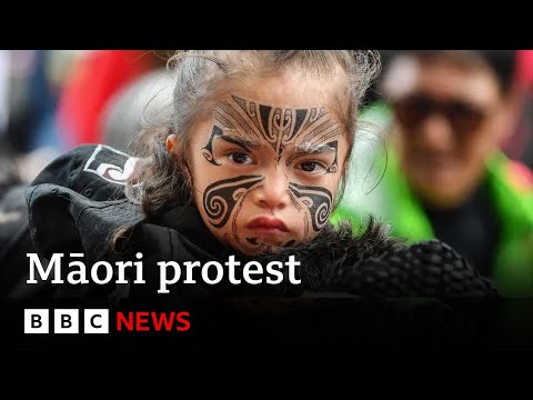 Thousands take part in Māori protests in New Zealand’s capital | BBC News