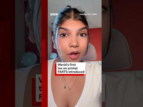 Denmark introduces world’s first ‘fart tax’. #Denmark #Fart #Cows #BBCNews