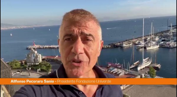 Pecoraro Scanio ”Poteri ai comuni per un turismo ecodigital”