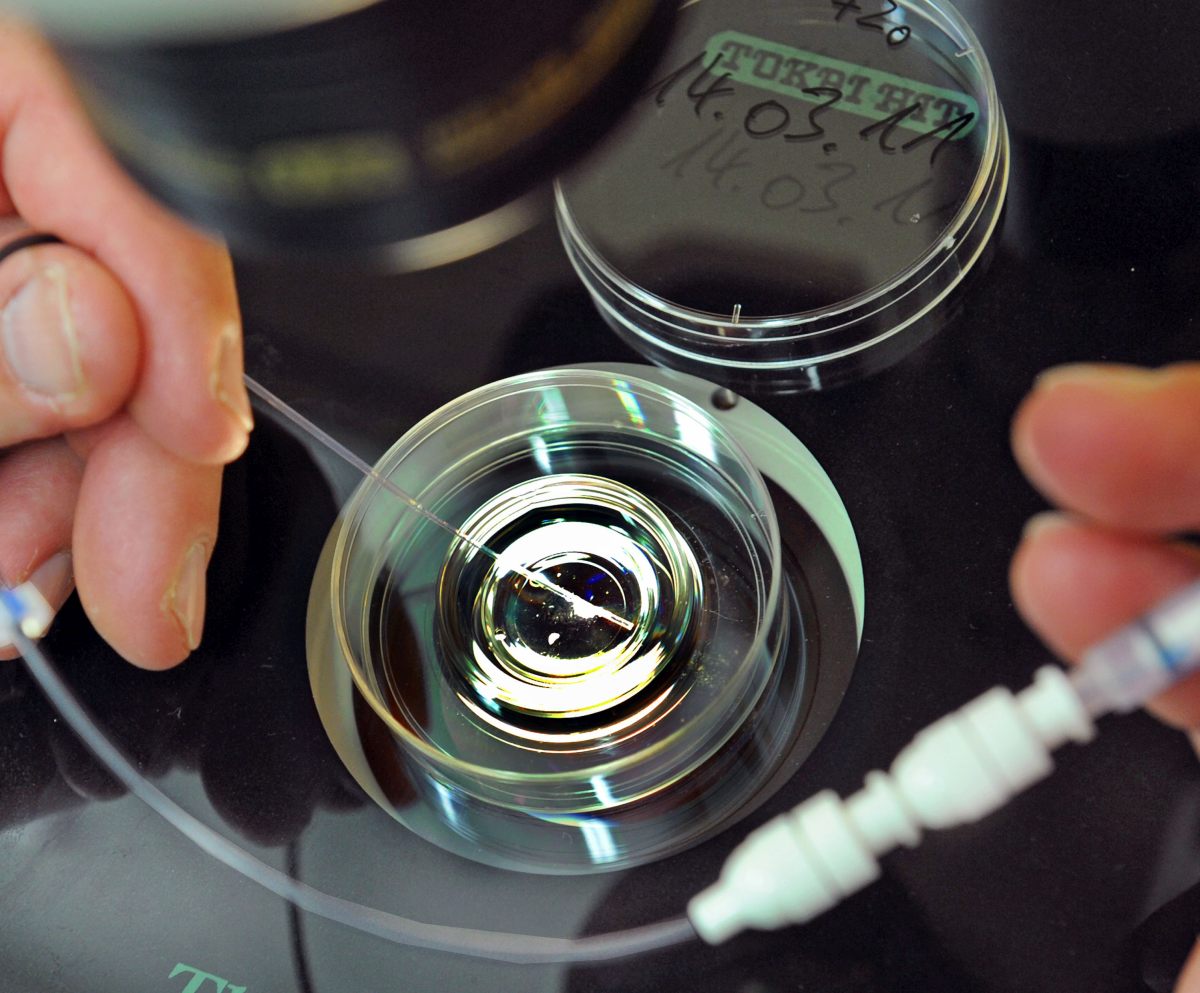 Procreazione assistita &egrave; nei LEA, Salutequit&agrave; &ldquo;Evitare diseguaglianze&rdquo;