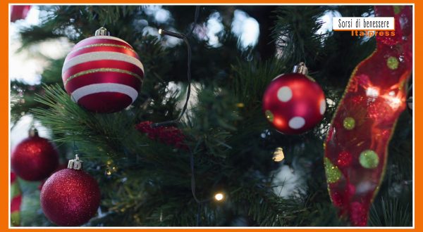 Sorsi di benessere – Una tisana di colore rosso… come il Natale!