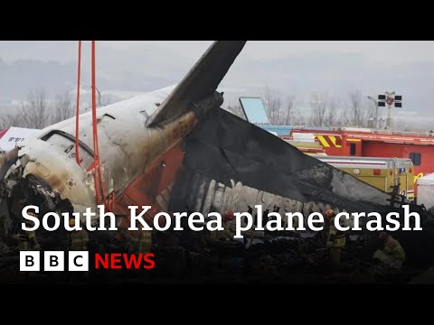 South Korea launches air safety review after Jeju Air plane crash | BBC News