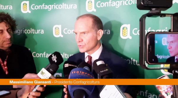 Manovra, Giansanti “Chiediamo attenzione da parte del governo”