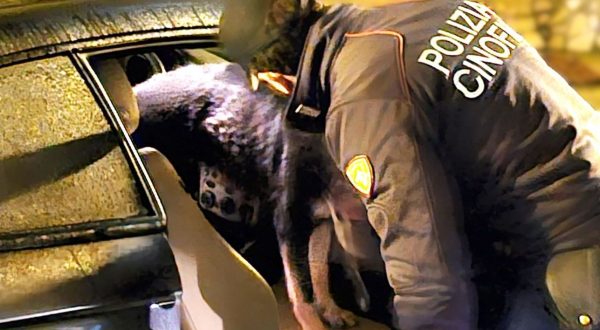 Stroncato traffico di droga a Caltanissetta, 8 misure cautelari