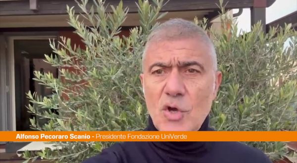 Pecoraro Scanio “Pronti al referendum su vecchio nucleare”