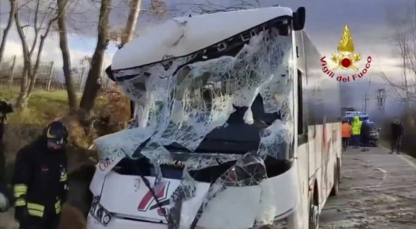 Albero cade su scuolabus nel Fiorentino, le immagini
