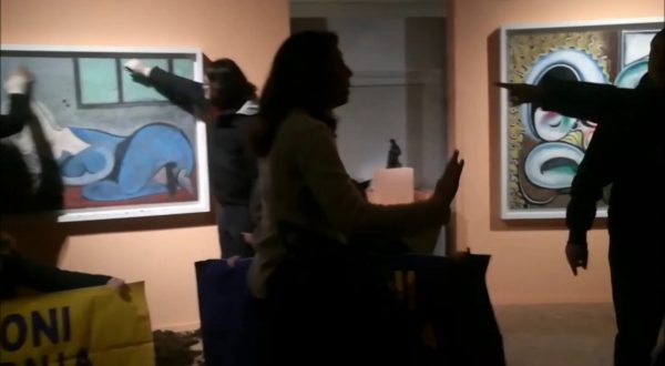 Mantova, animalisti imbrattano con letame teca di un quadro di Picasso