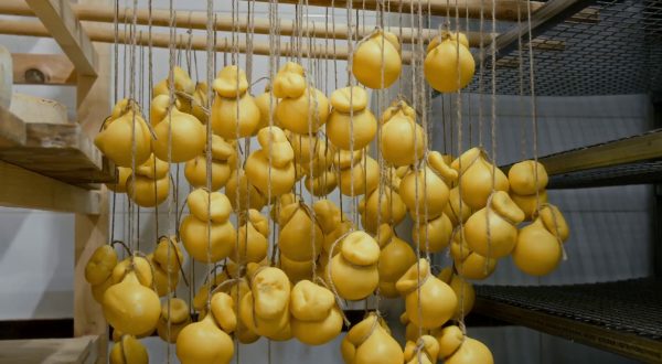 Distretti del cibo, 100 milioni per 11 progetti