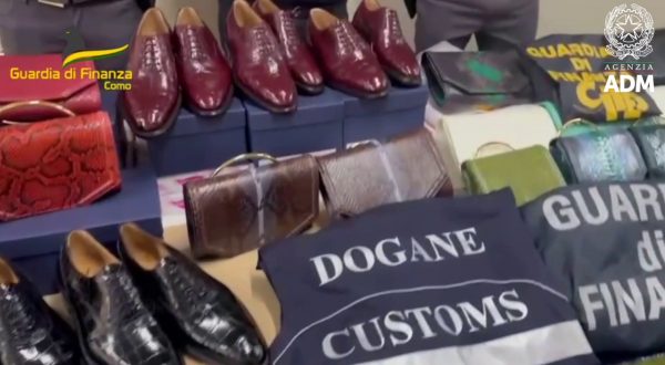 Como, sequesto accessori abbigliamento realizzati con pelli aninali