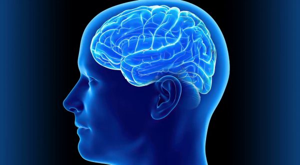 Ricerca, nuovi approcci per studiare il neurosviluppo