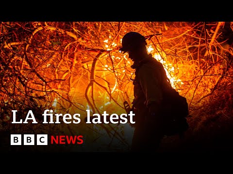 LA fires could ‘take off’ again, fire chief warns, with high winds expected | BBC News