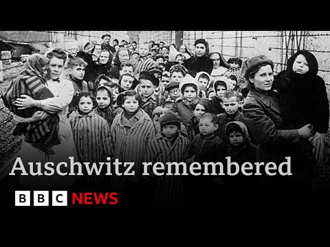 Auschwitz remembered:  80 years on survivors deliver warning from history | BBC News