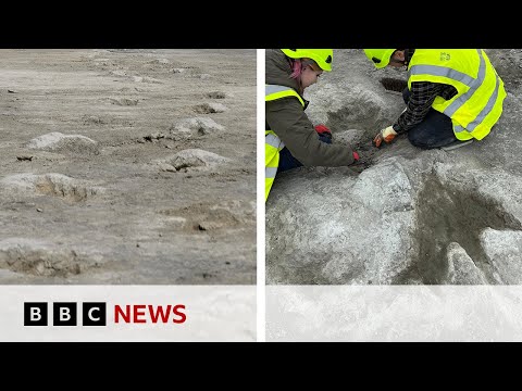 UK’s biggest ever dinosaur footprint site discovered | BBC News