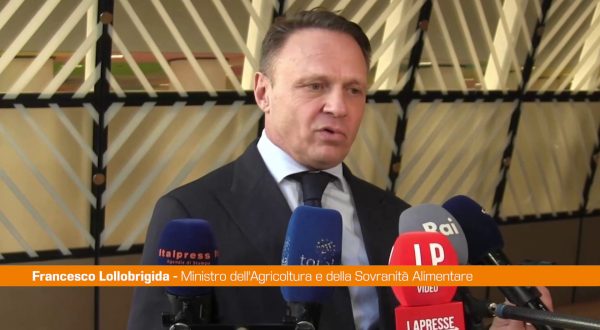 Mercosur, Lollobrigida “Servono regole comuni”