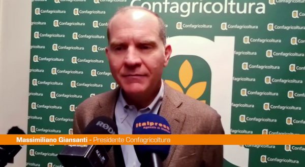 Giansanti “Attività sociali importanti per le imprese agricole”