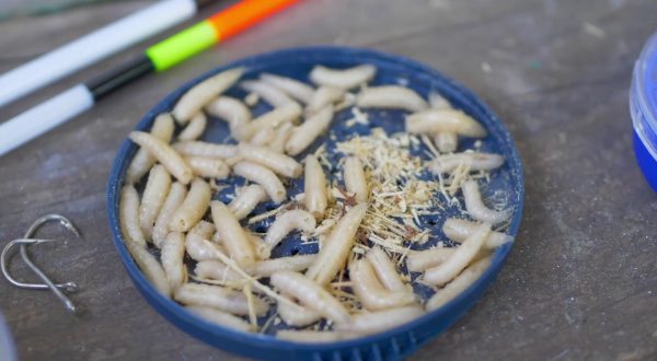 Neuroscienze, nuovi studi sull’intenzionalità