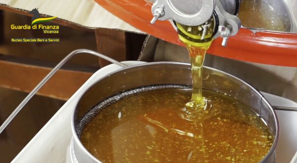 Vicenza, sequestrate 22 tonnellate di miele senza tracciabilità
