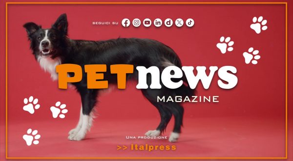 PetNews Magazine – 25/2/2025