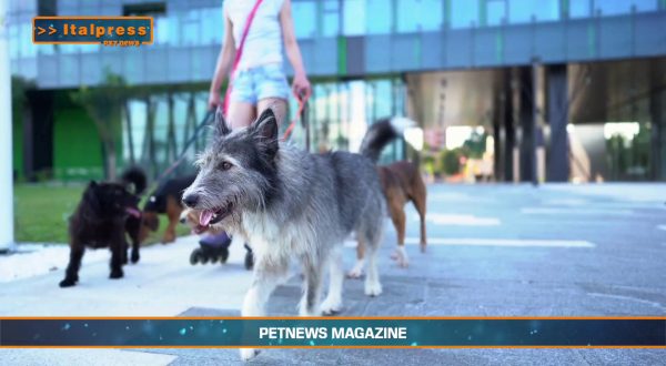 PetNews Magazine – 18/2/2025