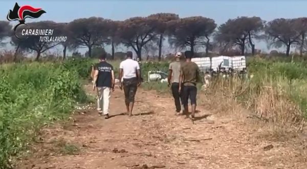 Corruzione e immigrazione clandestina, 36 arresti in Campania