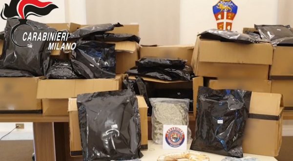 Blitz contro il narcotraffico, 12 arresti e 17 fermi