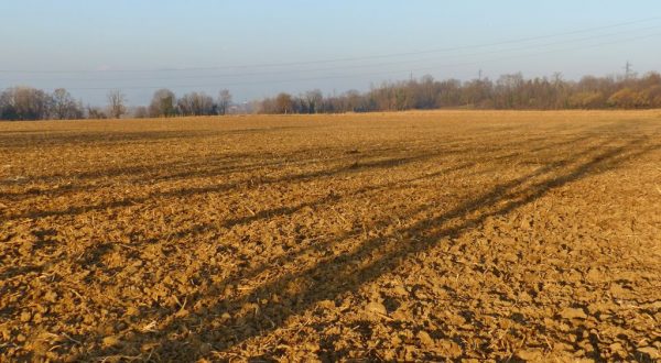 Tribunale Roma annulla ingiunzione di pagamento Agea da 935 mila euro