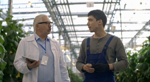 Sempre meno giovani in Italia