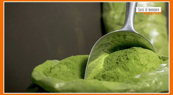Sorsi di benessere – Tisana alla moringa, elisir di salute ed energia