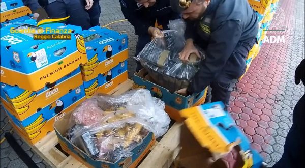 Sequestrati 27 chili di cocaina al porto di Gioia Tauro