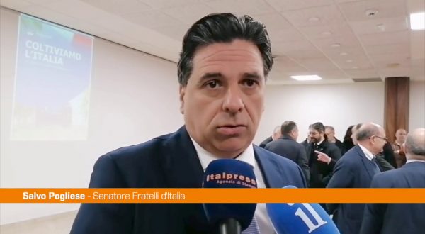 Pogliese “Il governo Meloni è al fianco degli agricoltori”