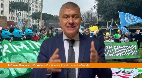 Pecoraro “Le istituzioni si impegnino a tutelare la biodiversità”