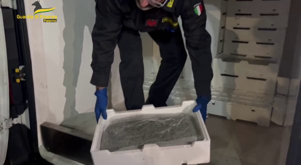Sequestrati 800 chili di pesce non tracciato nel Palermitano