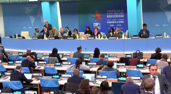 A Roma la Cop16 per fermare il declino della biodiversità