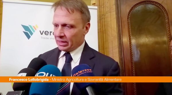 Lollobrigida “Dazi non sono soluzione, ma riflettere su prezzi”
