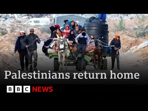 Palestinians return to ruins of north Gaza after Israeli withdrawal | BBC News