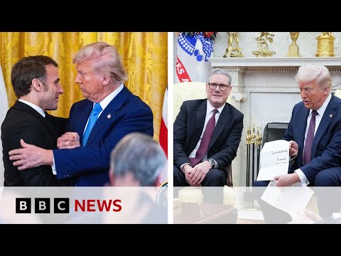 Will President Trump’s leaders meetings bring Ukraine closer to peace?  | BBC News
