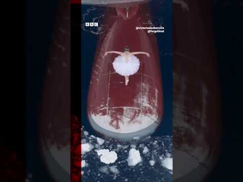 Ballerina dances on ship’s bow in Antarctica. #Dance #BBCNews