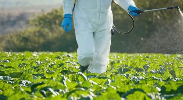 Agricoltura, 41 milioni per le assicurazioni agevolate