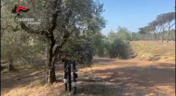 Favorivano immigrazione clandestina, 36 arresti in Campania