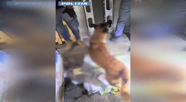 Traffico di droga nella piana Gioia Tauro, sequestrati 137 kg cocaina