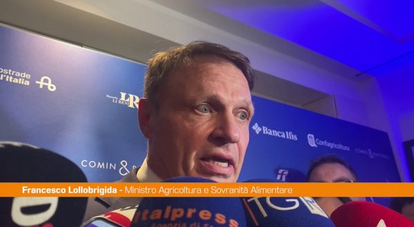 Dazi, Lollobrigida “No a sistema tariffario aggiuntivo”