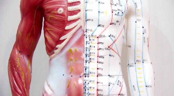 Un congresso nazionale sulla lipodistrofia