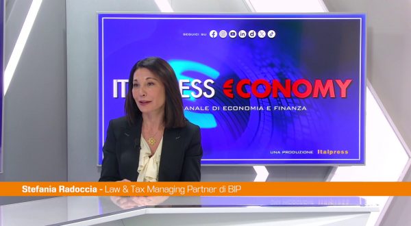 Consulenza per imprese, Radoccia (BIP) “L’innovazione va cavalcata”