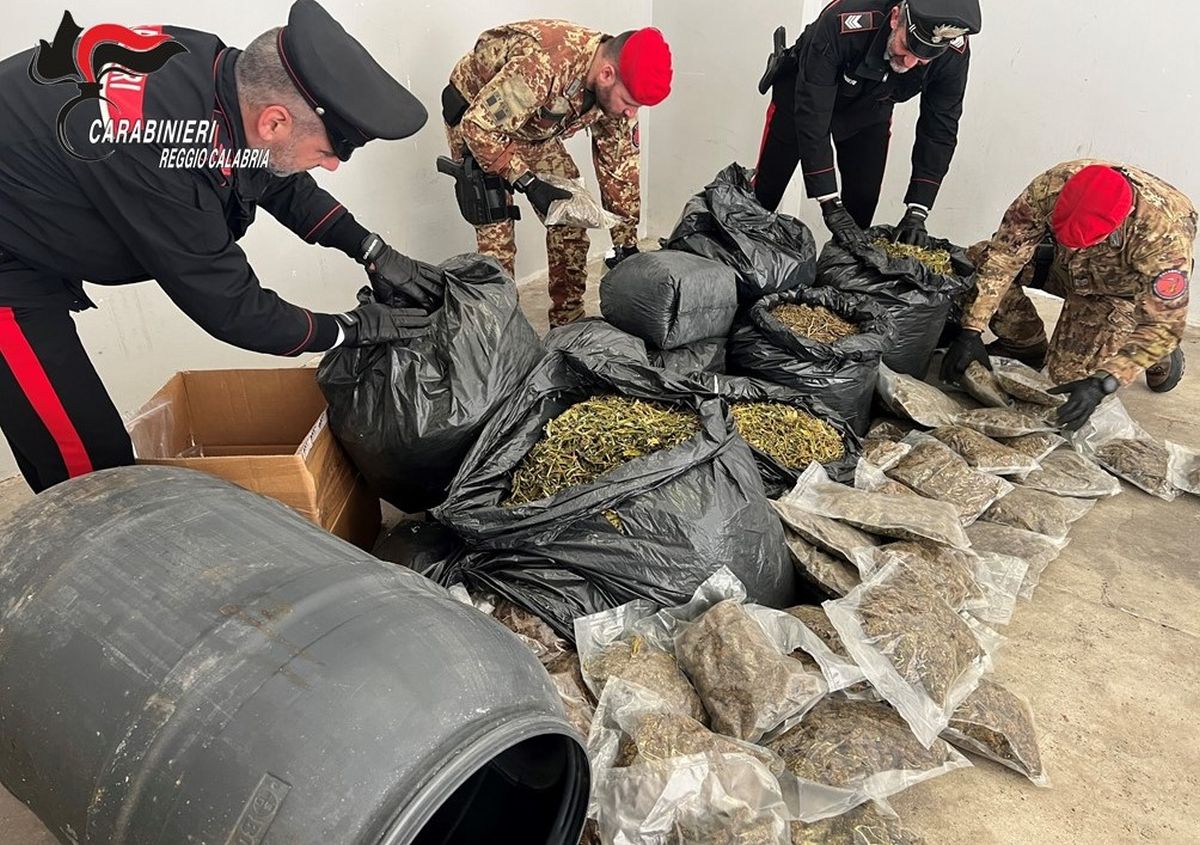 Pi&ugrave; di 30 kg di marijuana nascosti in casa nella Locride, un arresto