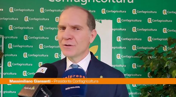 Confagricoltura, Giansanti “Agricoltura è determinante, va tutelata”