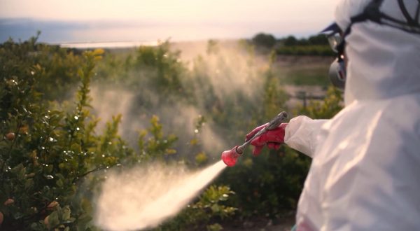 Pesticidi, nuovo studio sulla diffusione nei campi
