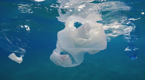 Inquinamento marino da navi, per la Corte Ue pochi risultati