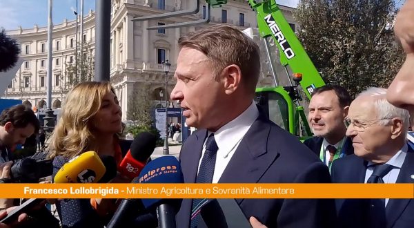 Lollobrigida “Tutto sembra tranne che Governo sia in crisi”