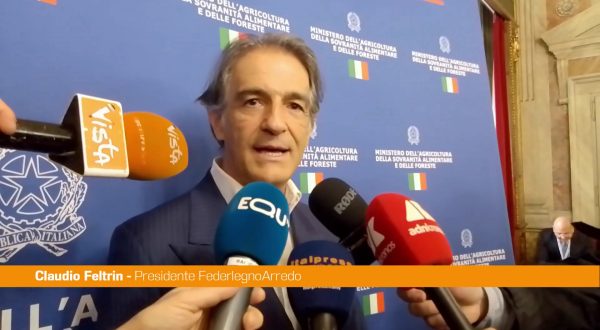 Sisma 2016, Feltrin “Utilizzo legno in edilizia occasione importante”