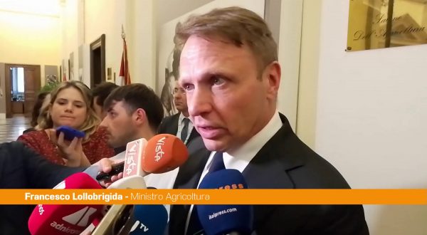 Sisma 2016, Lollobrigida “Utilizzo legno in edilizia esempio virtuoso”